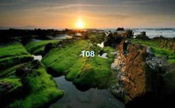 ChatGPT4.0一年多少钱？AI助力下的高效生活新选择！