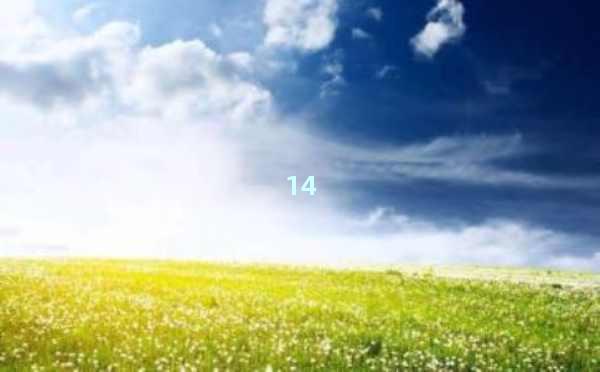 AI自动概括文章，让阅读更高效！