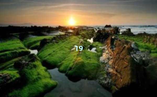 ChatGPT4每月多少钱？带你最具性价比的AI助手订阅方案