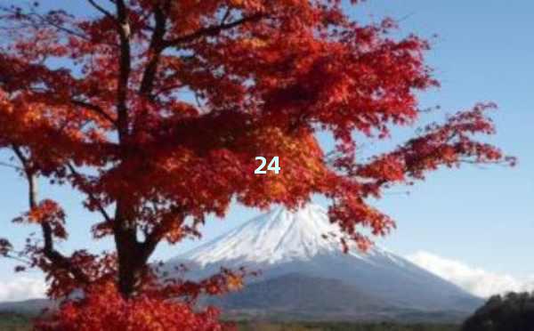 ChatGPT官网下载指南：开启AI智能新体验