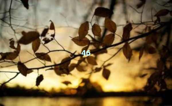 AI自己写作-开启创作新时代