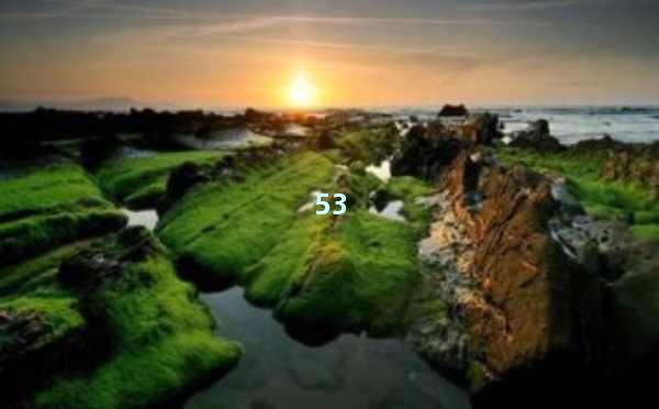 AI英语智能写作：让语言学习更轻松，写作更高效