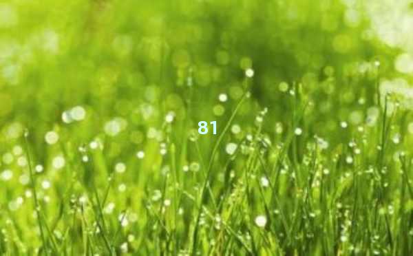 ChatGPT官网-人工智能对话新体验