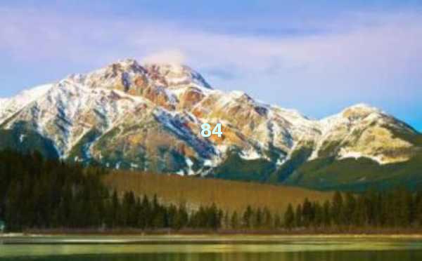 ChatGPT免费破解版，AI聊天助手全新体验