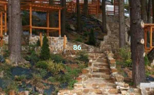 AI自动写作神奇：写作新世界