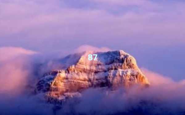 AI软件使用方法：快速上手AI，轻松提升工作效率