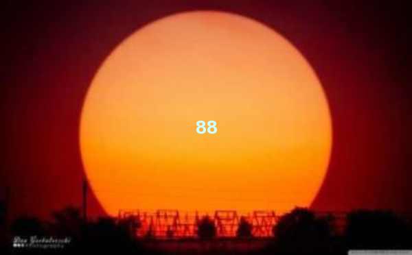 AI软件有免费版，让智能工具触手可及